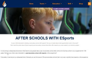 Danish Esports Post-Secondary School