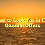 What to Look For in Free Gamble Offers