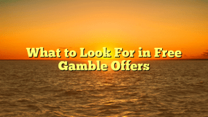 What to Look For in Free Gamble Offers