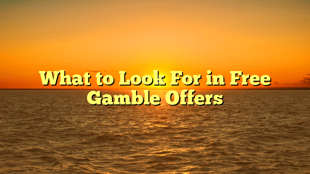 What to Look For in Free Gamble Offers