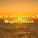 What to anticipate in Free Wagers Offers
