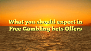 What you should expect in Free Gambling bets Offers