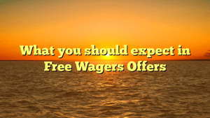 What you should expect in Free Wagers Offers